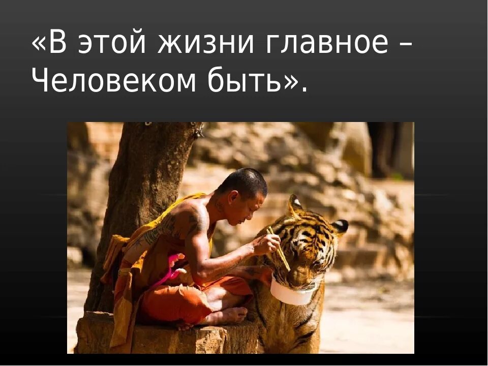 Самое главное бесплатный. Самое главное бесплатный. Оставаться человеком в любой ситуации. Коротко о главном. Самое ценное в жизни это семья цитаты.