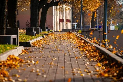 Погода псков на ноябрь 2023