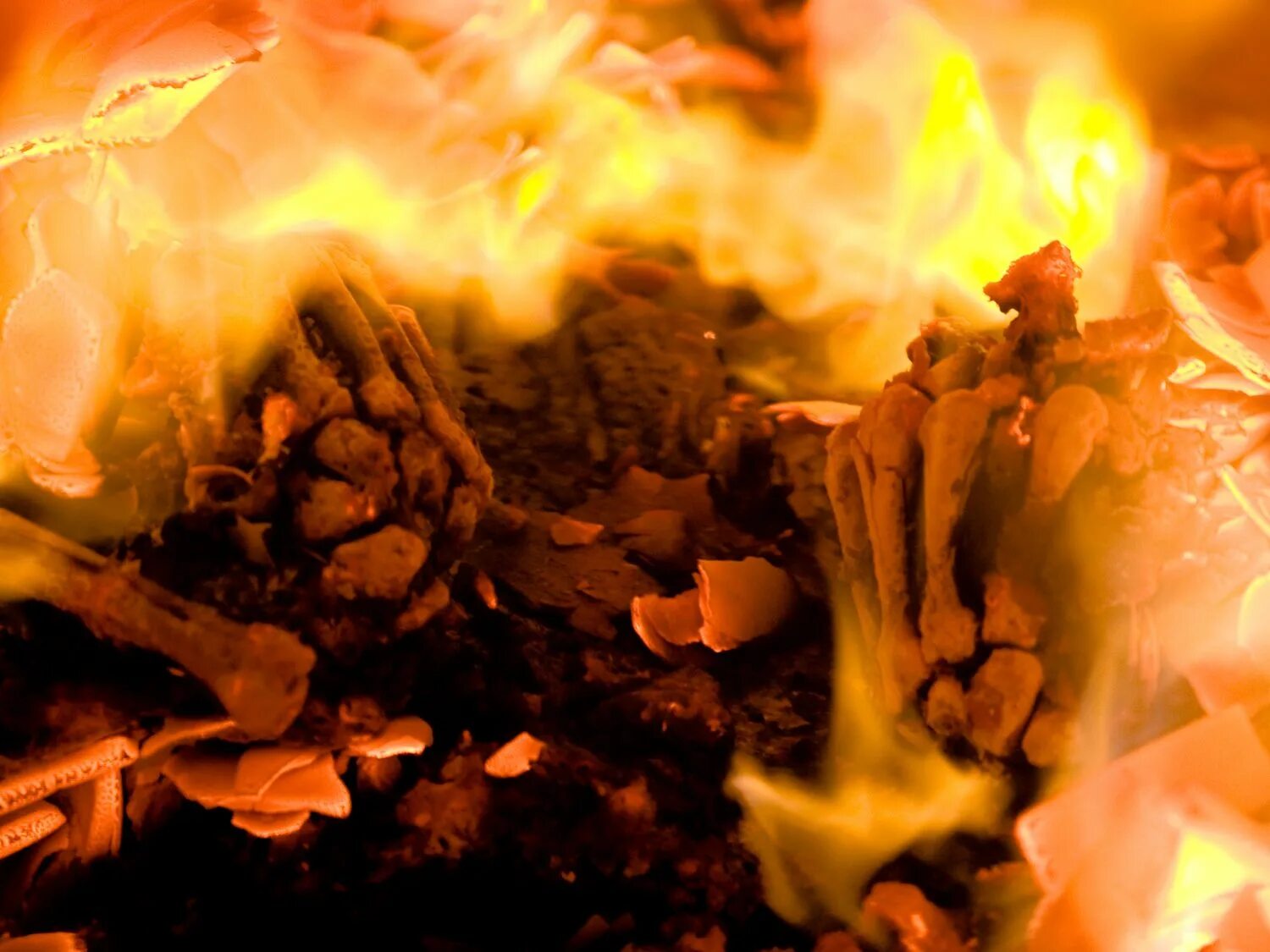 горящая печь крематорий. останки человека в крематории. кости сгоревшего человека. полуразложившийся труп. кости сгоревшего человека.
