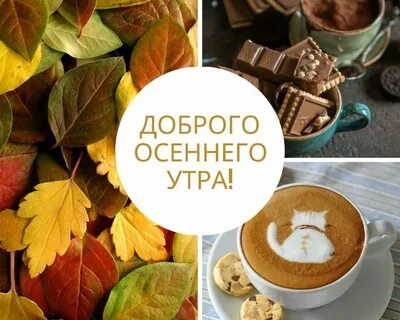 Доброе утро 09 октября