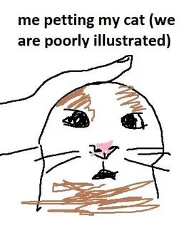 Petting my cat