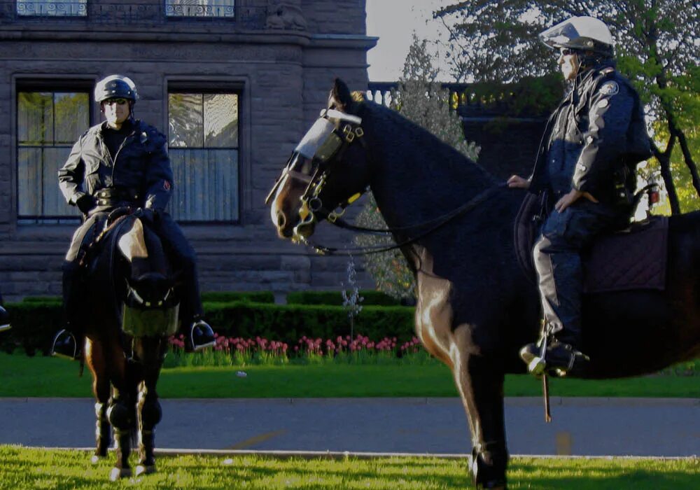 Mounted unit. Canadian Mounted Police Postcard.