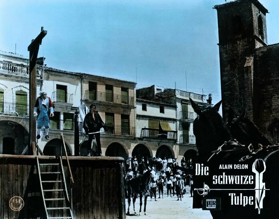 Ален делон черный тюльпан. Черный тюльпан 1963. Ален делон 1964 черный тюльпан. Где снимали черный тюльпан. Вирна лизи в фильме черный тюльпан.