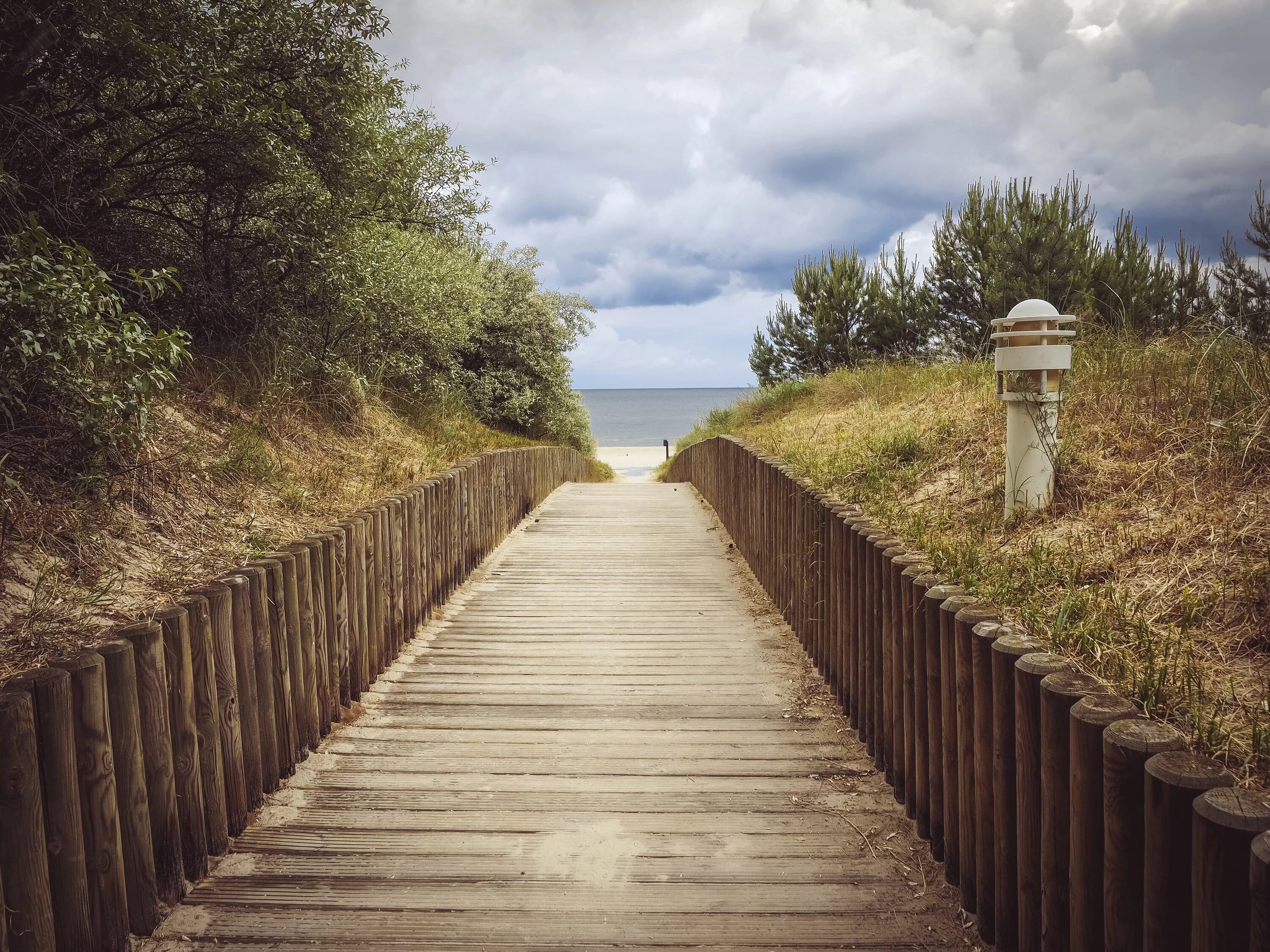 Path day