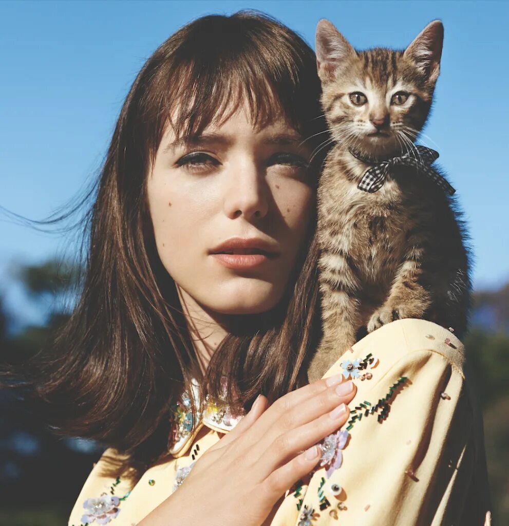 Миу миу текст. Миу миу. miu miu rose. реклама миу миу. кошка миу миу.