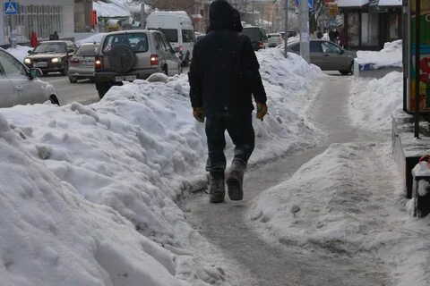Устойчивый снежный покров зимой