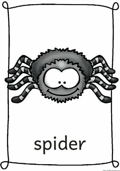 Паук женского рода. Паук для детей. Spider flashcards for kids. Паук по английски перевод. Насекомые на английском языке.