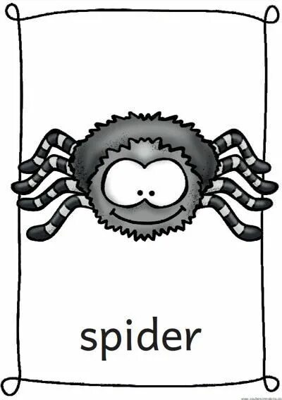 Как по английски будет паук. Spider карточка на английском. Паук Flashcard. Карточки по английскому языку для детей Spider. Паучок на английском.