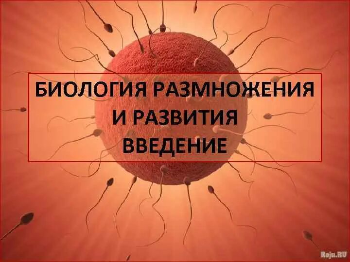 Биология размножения и развития. Биологические науки размножение. Основы биологии размножения и развития. Учебно-методическое пособие. Недзельский е.м. биология размножения и развития. Биология как размножаются