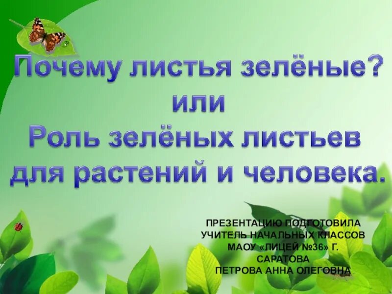 Почему листья зеленые. Почему листья зеленые презентация. почему растения зеленые. почему листья растений зеленые.