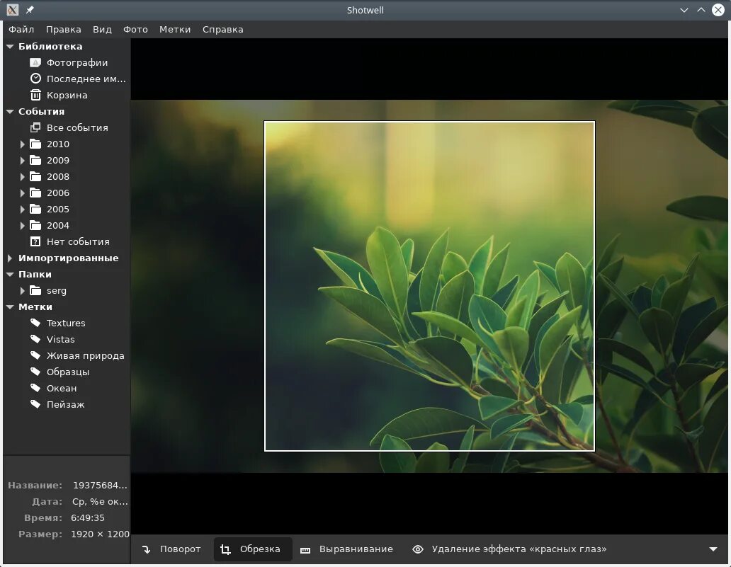 Приложения для изменения разрешения. Shotwell Linux. Программа для изменения разрешения фото. Приложение для изменения размера фото. Программа изменение размера фото.