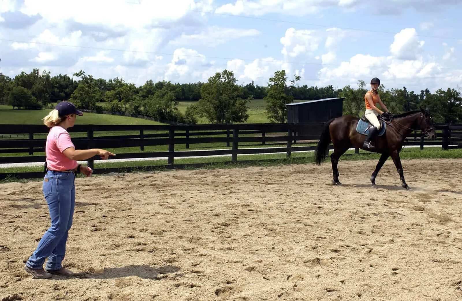 Horse riding School. Правила лошади. Польза езды на лошади. Правила конного спорта 25 лет.