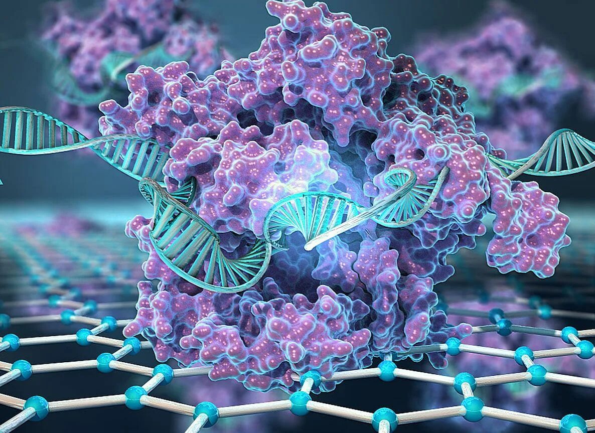 Наследственная информация растительной клетки. CRISPR cas9. Генетика CRISPR. CRISPR cas9 технология. Генная инженерия CRISPR.