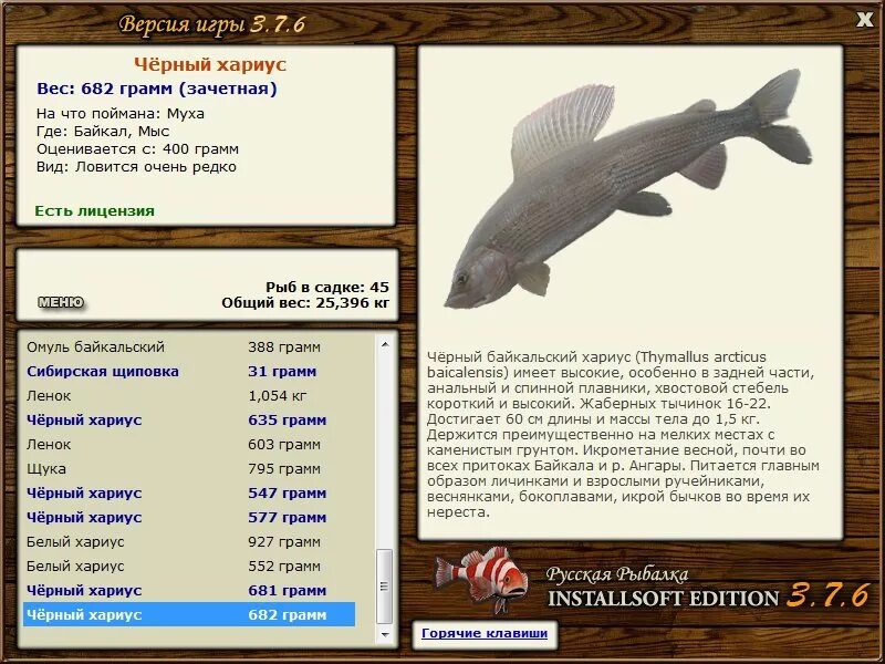 белый байкальский хариус реальная рыбалка