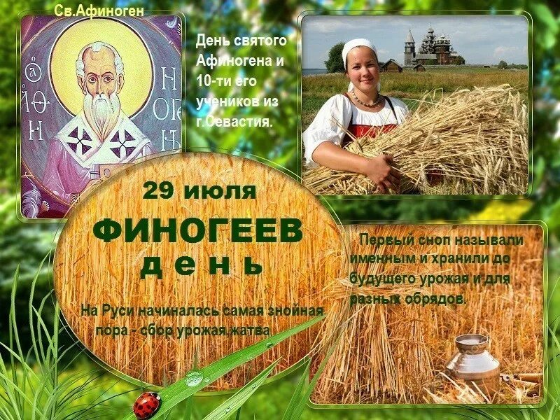 29 Июля Афиногенов день (день Финогея). 29 Июля народный календарь. Финогеев день 29 июля. Народные приметы на 29 июля. 1 июля национальный