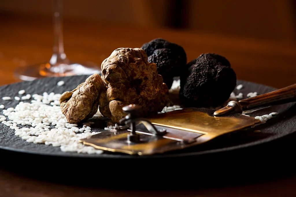 Трюфели со. Трюфель (грибы). трюфели — les truffes. трюфель «черный роше». tartufo трюфель.