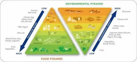 Food environment