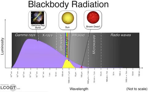 DIAGRAM Black Body Diagram.