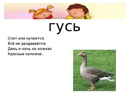 Гусь мягкие согласные