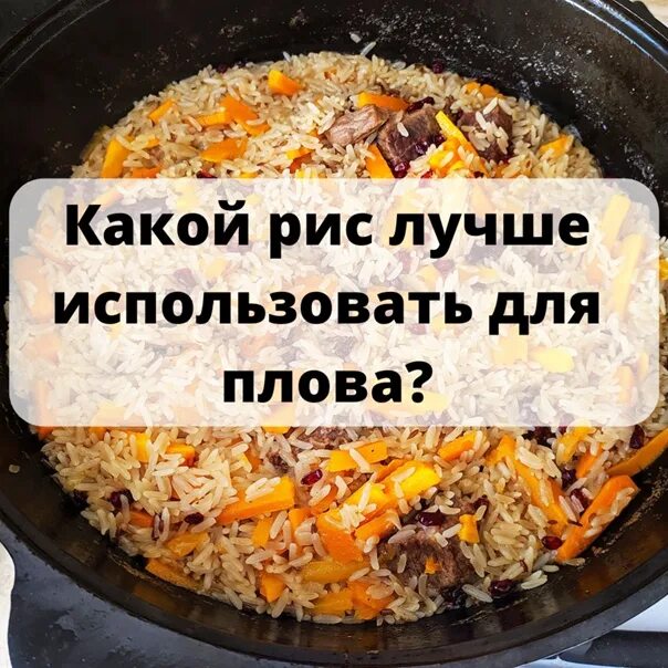Какой плов используют для плова. Рис для плова. какой рис использовать для плова. хороший рис для плова. из какого риса лучше плов.