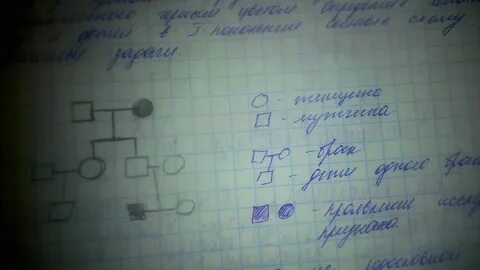 Вероятность в процентах рождения ребенка с признаком