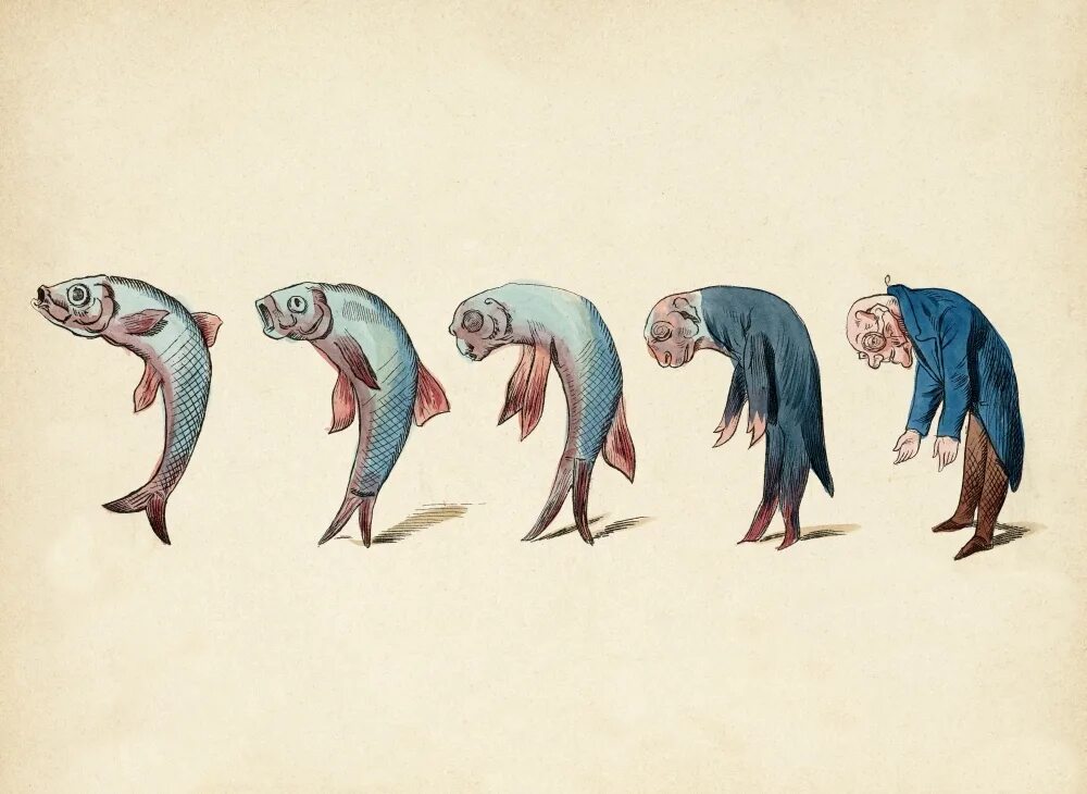 первые люди рыбы. чарлз дарвин эволюциялык теориясы. рыболовство в древности. рыболовство в древности. первые люди рыбы.