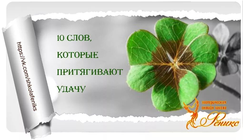 Цветок привлекающий удачу. Слова которые притягивают удачу. Слова удачи и богатства. Слова на здоровье и удачу.