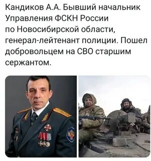 Сколько пошло добровольцев