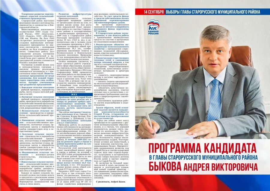 Глава депутатов местного самоуправления. Предвыборная программа кандидата. предвыборная программа кандидата в главы. программа кандидата в депутаты муниципального образования. предвыборная программа кандидата в депутаты местного.