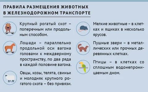 Правила перевозки животных в поезде 2023