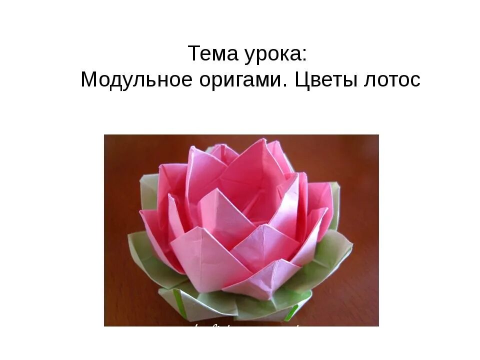 Learn to Fold: Origami Lotus Flower Origami lotus flower, Origami patterns, Crea