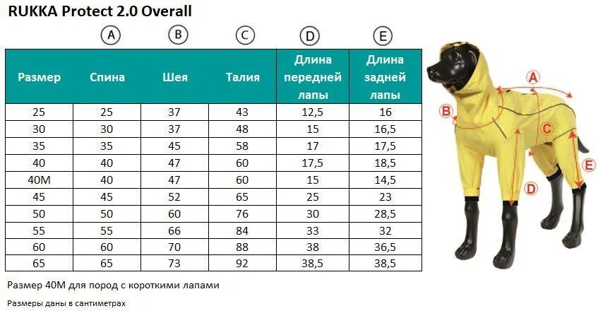 Как выбрать размер для собаки. Комбинезон для собак rukka размерная сетка. комбинезоны rukka для собак таблица размеров. rukka одежда для собак размерная сетка. rukka таблица размеров для собак.