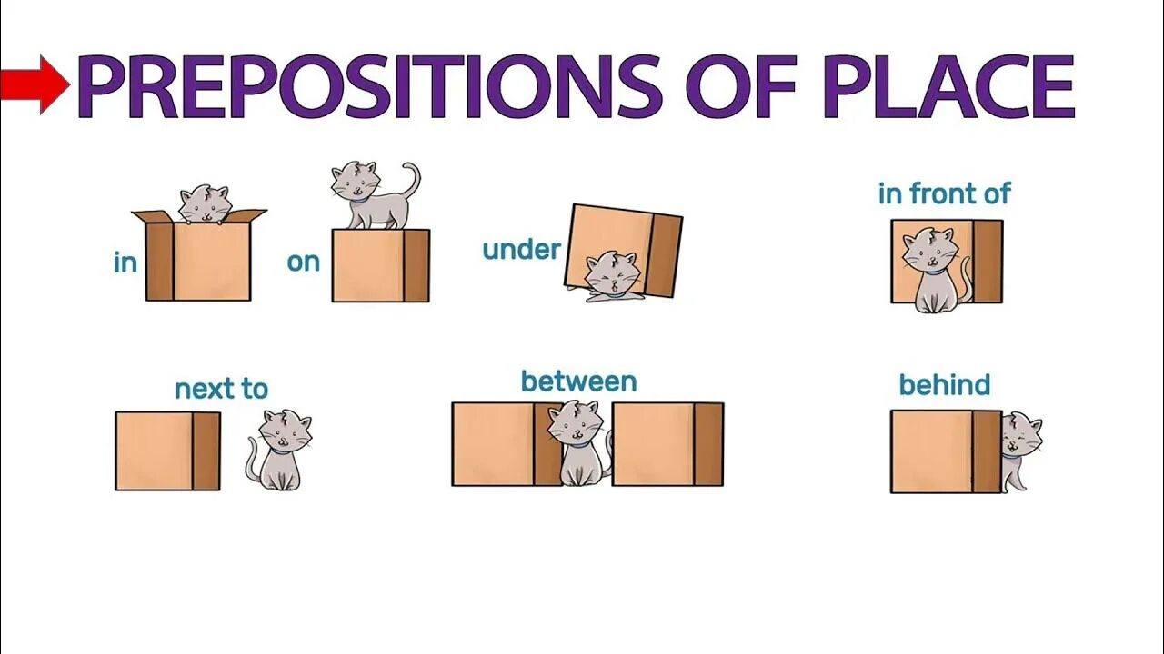 Предлоги in on under. In on under в английском языке. Prepositions of place карточки. Предлоги under behind in on. Is in front перевод