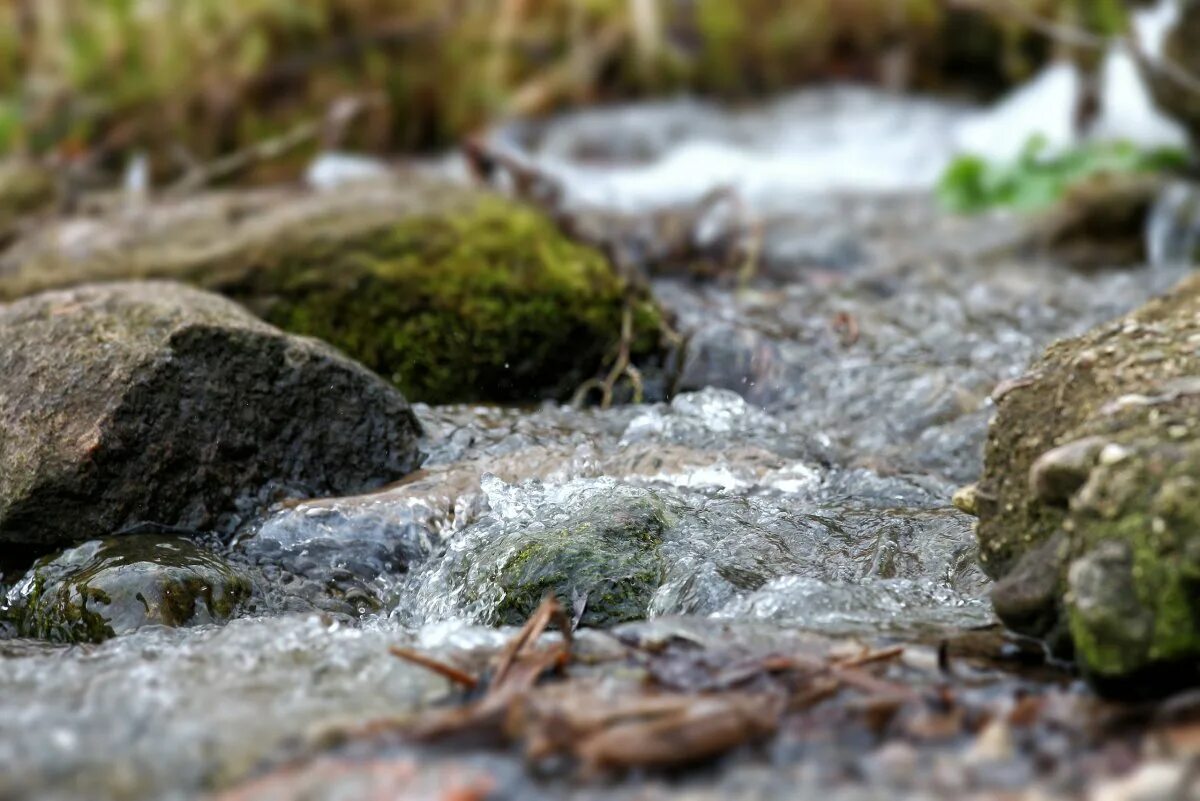 Ручей дранишник. Пересохший ручей. Шьет платье журчание ручья. Берген лес ручей. Чулакито горный ручей гватемала.