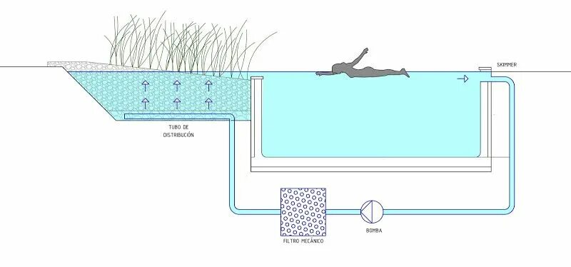 Глубина забора воды. Плавательный пруд с биоплато схема. Биоплато для пруда схема. Плавательный пруд с биоплато чертеж. Проект пруда с биоплато схема.