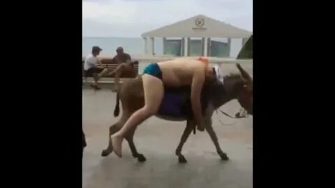 Русский прикол видео на телефон