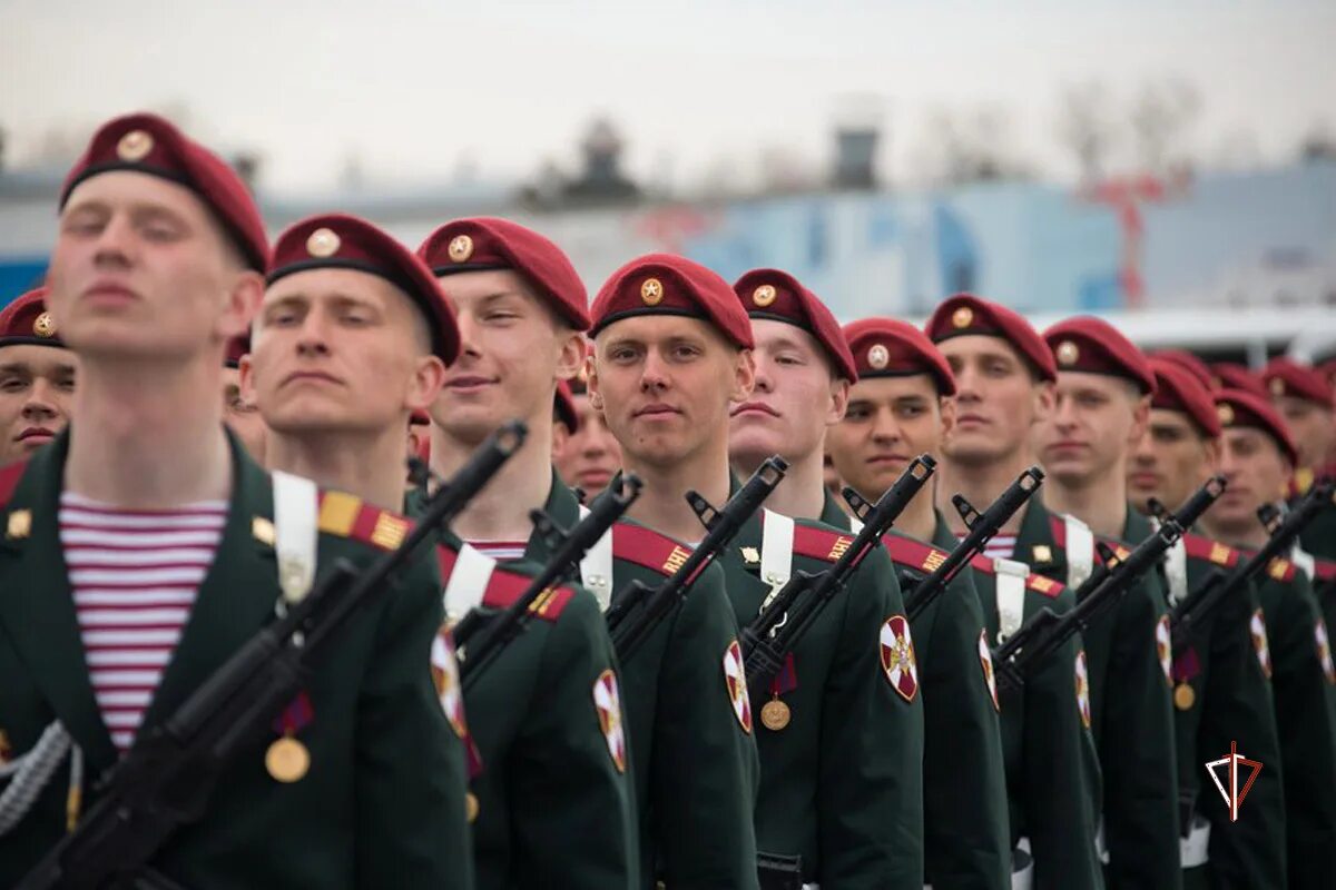 Краповый погон. Форма войск национальной гвардии РФ. Парадная форма ВНГ РФ. Парадная форма войск национальной гвардии РФ. Парадная форма ОДОН.