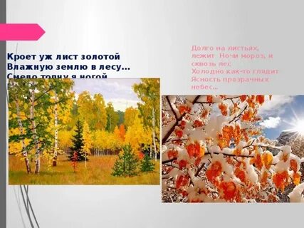 Кроет лист золотой влажную землю в лесу