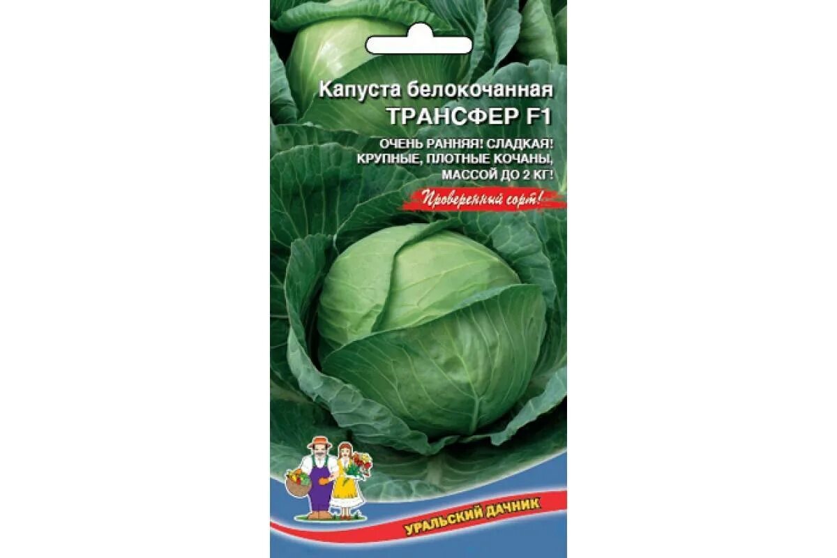 Продаю рассаду перца сладкого, огурцов, капусты зимней и скороспелки. Забирать с
