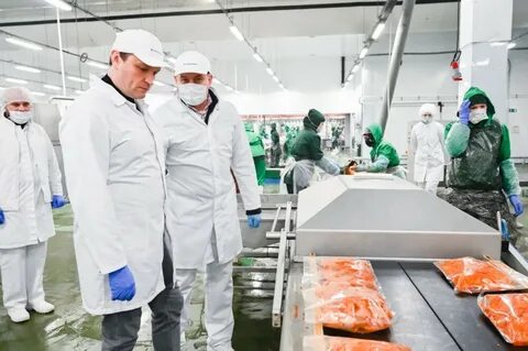 Птицефабрика сергиев посад