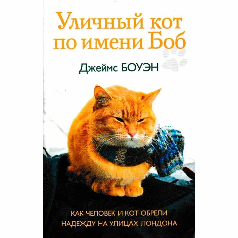Читать книгу кот боб. Кот по имени боб книга. уличный кот по кличке боб. уличный кот по имени боб 2 книга.
