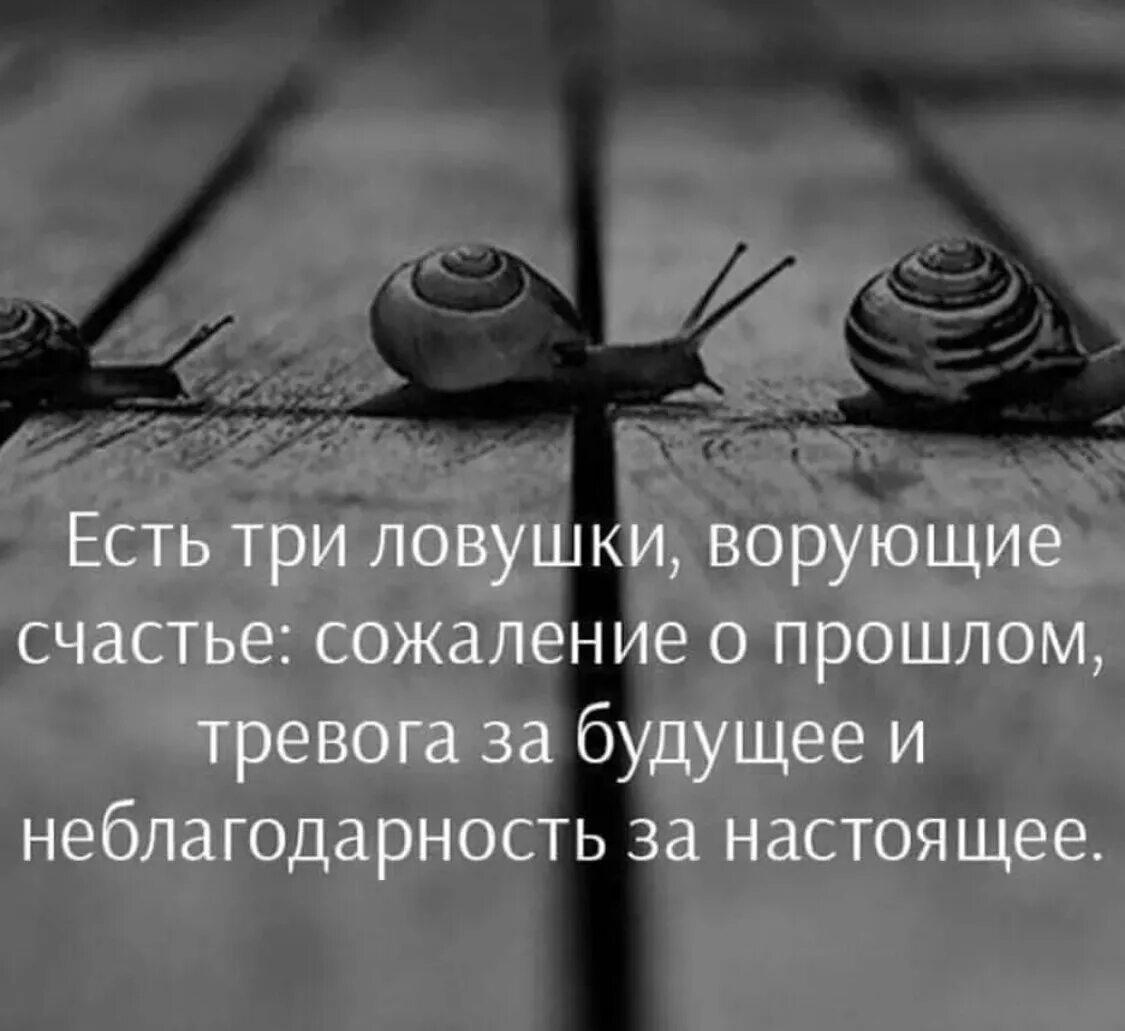 Статусы со смыслом прошлое прошло. Статусы про не блогдарных людей. статусы про прошлое. статусы про прошлое и будущее. мудрые мысли о прошлом настоящем и будущем.