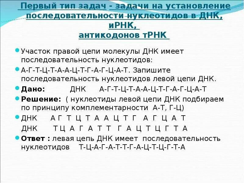 Фрагмент цепи днк имеет последовательность атааггатгццтттт. ДНК ИРНК ТРНК задачи. Решение задач на Цепочки ДНК И РНК. Г Ц Г А А Т Т А А Т Г Ц ДНК ИРНК. Задачи на Цепочки ДНК И РНК.