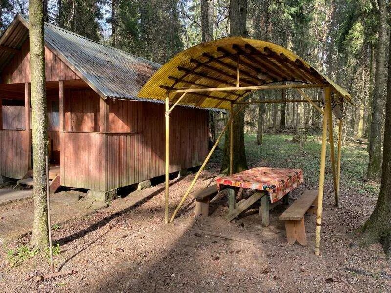 Турбаза молодость. Турбаза молодость. Турбаза молодость. Турбаза молодость мытищи. База отдыха молодость мытищи.