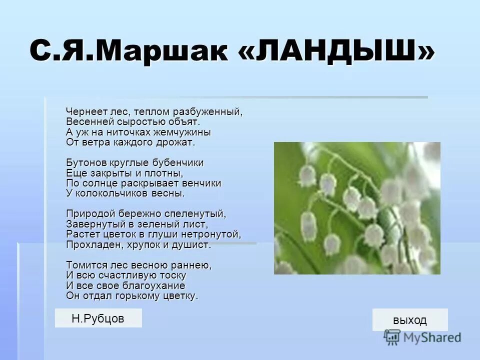 Припев песни я подарю вам ландыши. Стихи Маршака 3 класс. Стихи Маршака для школьников 3 класса. Стихотворение Маршака 3 класс. Стихи Маршака 4 класс.