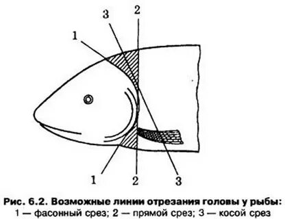 Косой срез