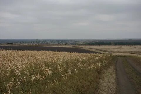 Погода в ребриково