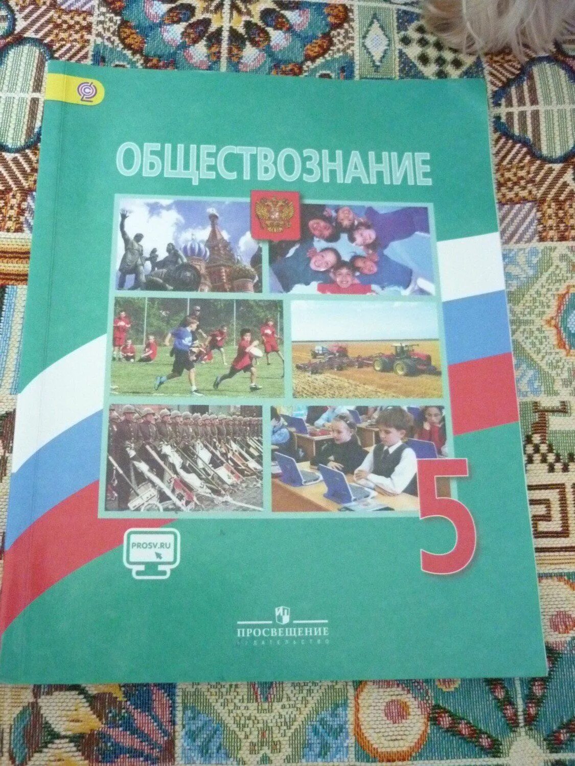 Обществознание 6 класс учебник 4. Обществознание 5 класс учебник. общество 6 класс учебник. учебник обществознание 5 класс боголюбов. обществознание просвещение.