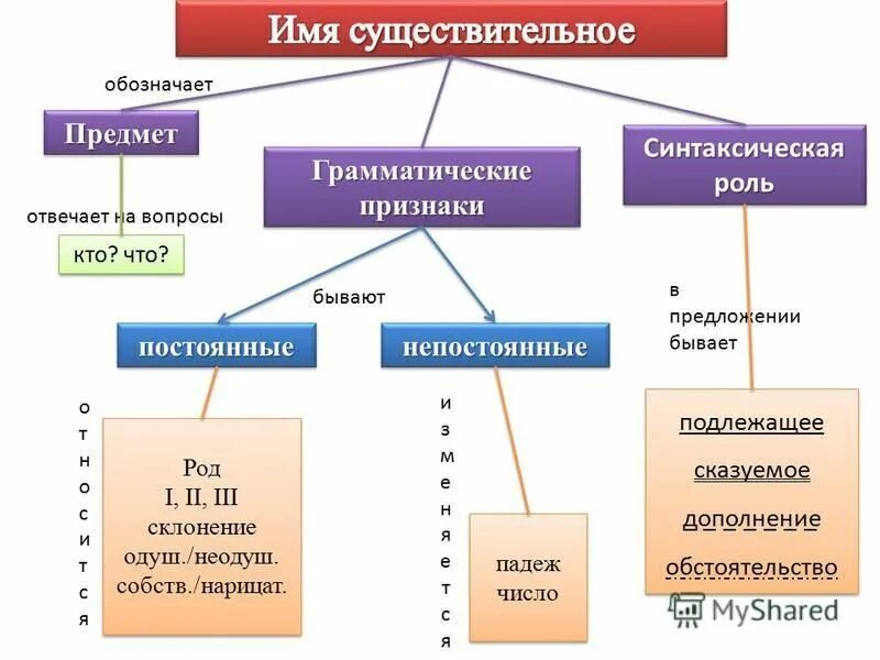 Имя существительное в русском языке вопросы