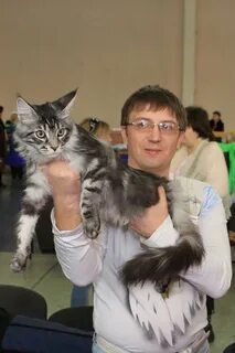 Кун нижний новгород